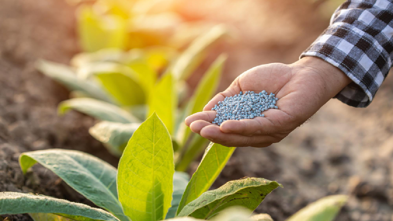 nitrato-de-sodio-fertilizantes